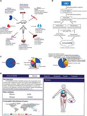 ImmuCellDB: An Indicative Database of Immune Cell Composition From Different Tissues and Disease Conditions in Mouse and Human